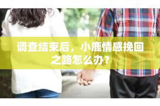 调查结束后，小鹿情感挽回之路怎么办？