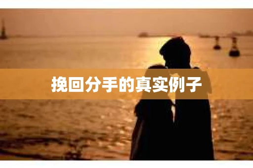 挽回分手的真实例子