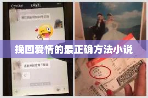 挽回爱情的最正确方法小说