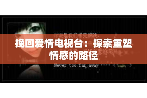 挽回爱情电视台：探索重塑情感的路径