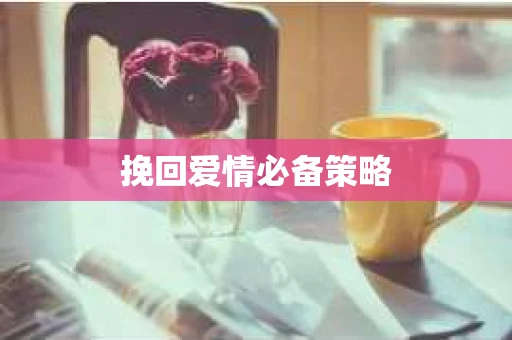 挽回爱情必备策略