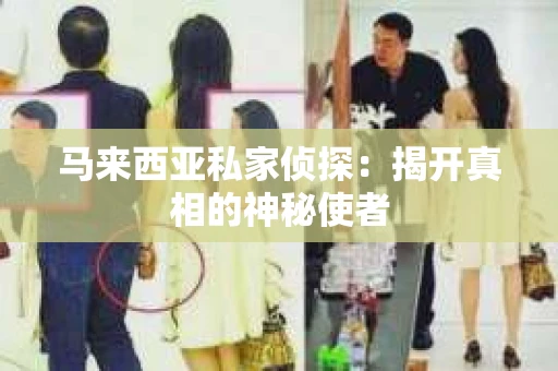 马来西亚私家侦探：揭开真相的神秘使者
