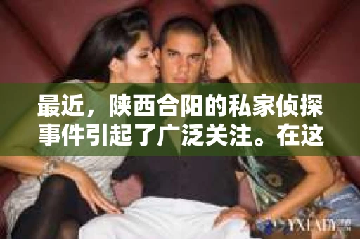最近，陕西合阳的私家侦探事件引起了广泛关注。在这个信息爆炸的时代，隐私保护显得尤为重要。今天，我们就来聊聊这个事件，看看它背后的一些故事。
