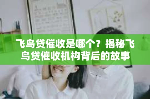 飞鸟贷催收是哪个？揭秘飞鸟贷催收机构背后的故事
