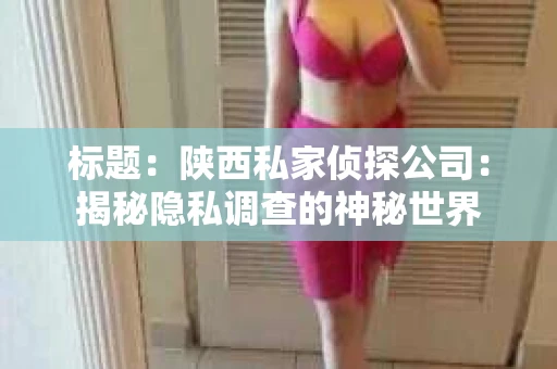 标题：陕西私家侦探公司：揭秘隐私调查的神秘世界