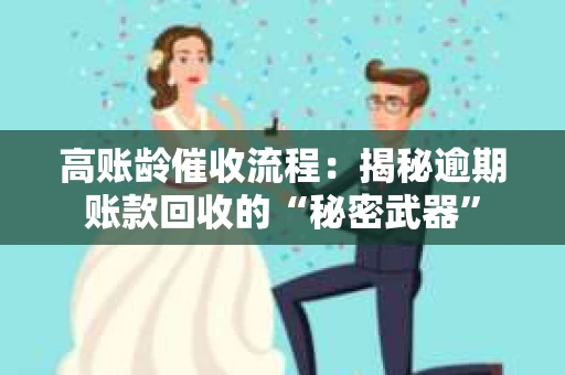 高账龄催收流程：揭秘逾期账款回收的“秘密武器”