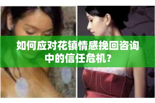 如何应对花镇情感挽回咨询中的信任危机？