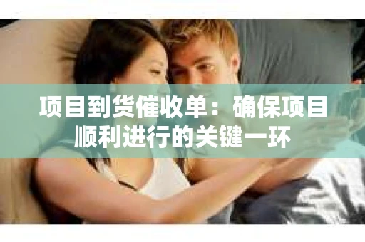 项目到货催收单：确保项目顺利进行的关键一环
