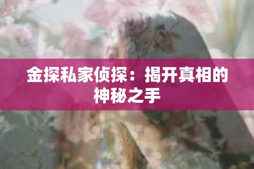 金探私家侦探：揭开真相的神秘之手