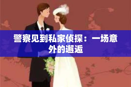 警察见到私家侦探：一场意外的邂逅