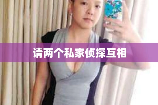 请两个私家侦探互相