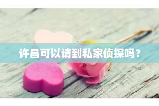 许昌可以请到私家侦探吗？