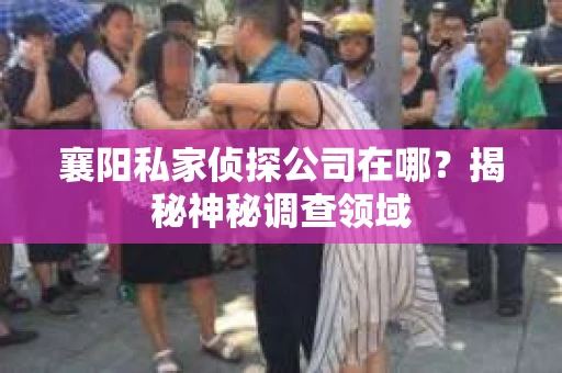 襄阳私家侦探公司在哪？揭秘神秘调查领域