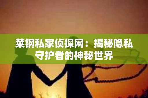 莱钢私家侦探网：揭秘隐私守护者的神秘世界