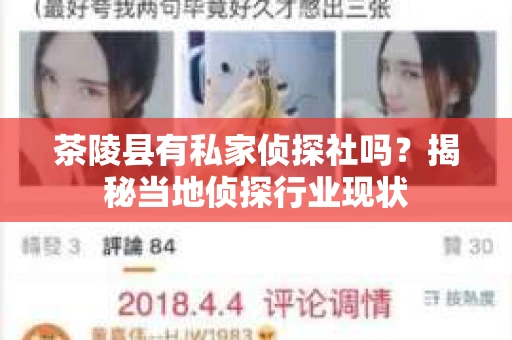 茶陵县有私家侦探社吗？揭秘当地侦探行业现状
