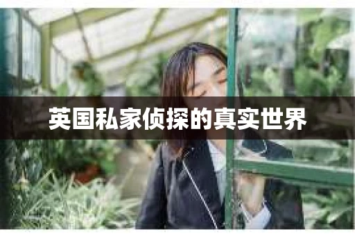 英国私家侦探的真实世界