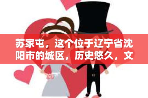 苏家屯，这个位于辽宁省沈阳市的城区，历史悠久，文化底蕴深厚。近年来，随着社会的发展，人们对于私家侦探的需求也逐渐增加。那么，苏家屯有私家侦探吗？今天，我们就来聊聊这个话题。