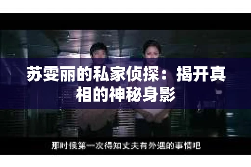 苏雯丽的私家侦探：揭开真相的神秘身影
