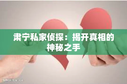 肃宁私家侦探：揭开真相的神秘之手