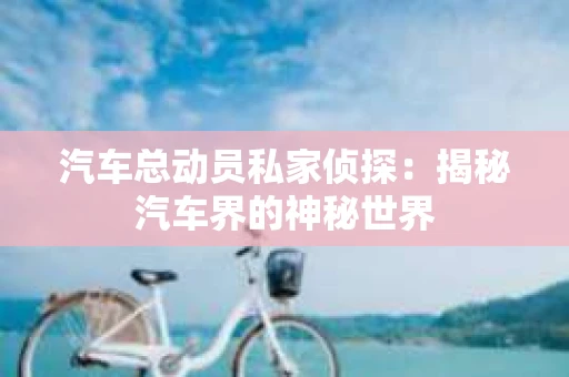 汽车总动员私家侦探：揭秘汽车界的神秘世界
