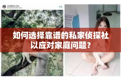 如何选择靠谱的私家侦探社以应对家庭问题? 如何选择靠谱的私家侦探社以应对家庭问题?