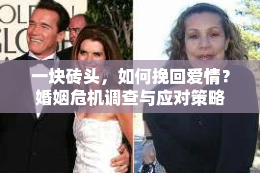 一块砖头，如何挽回爱情？婚姻危机调查与应对策略