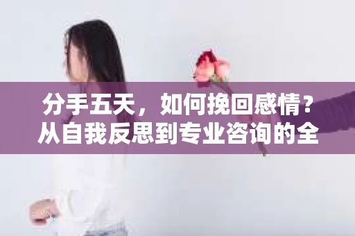 分手五天，如何挽回感情？从自我反思到专业咨询的全面解决方案