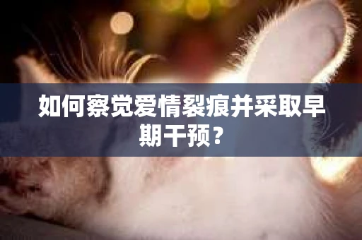 如何察觉爱情裂痕并采取早期干预？