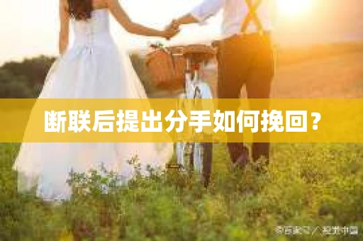 断联后提出分手如何挽回？