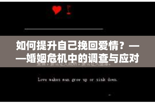 如何提升自己挽回爱情？——婚姻危机中的调查与应对策略