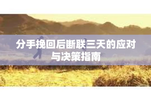分手挽回后断联三天的应对与决策指南