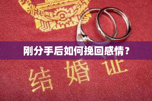 刚分手后如何挽回感情？